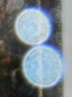Orbe4