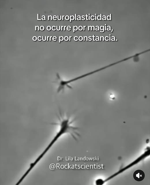 neuroplasticidad neuronas