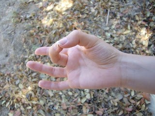 mshuni