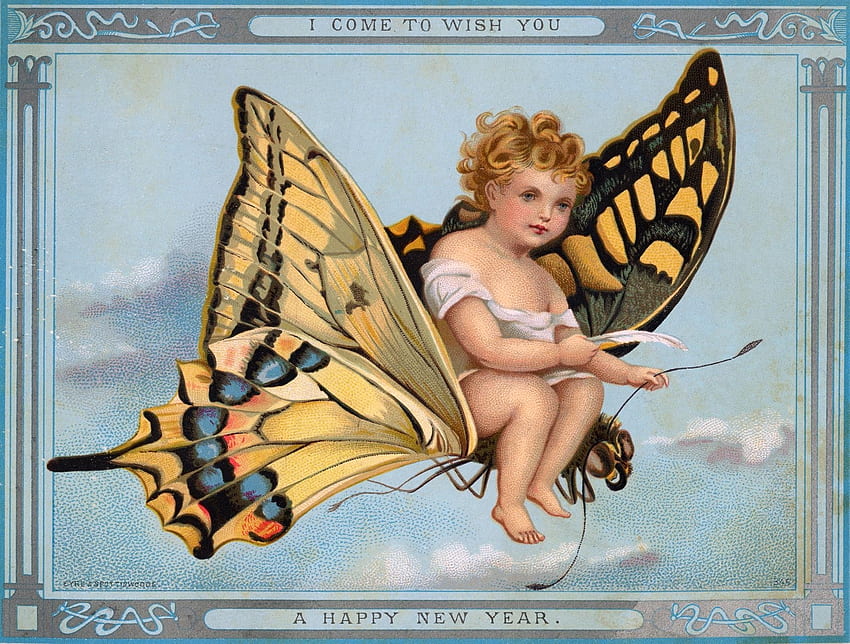 angel mariposa