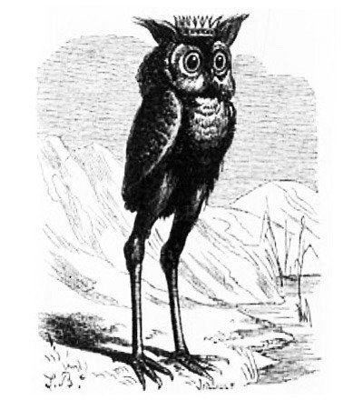 36