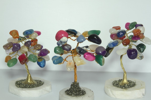arbol de curazos