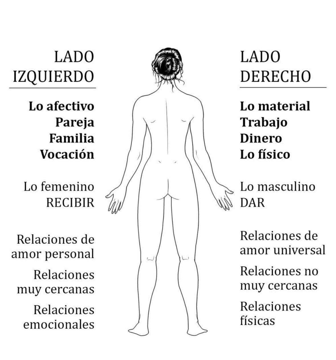 lados cuerpo fisico