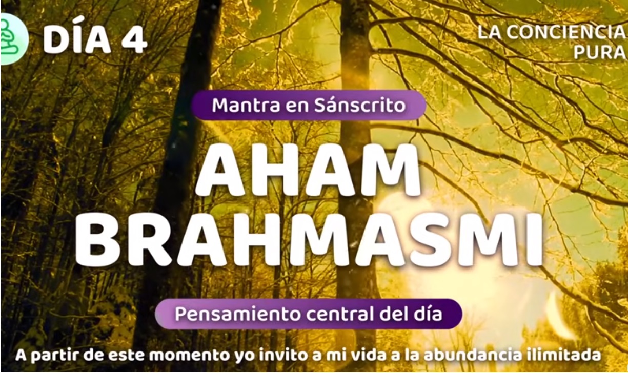 4 dia